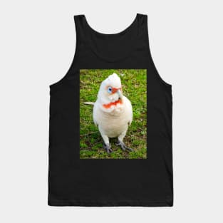 Eastern Long Billed Corella Tank Top